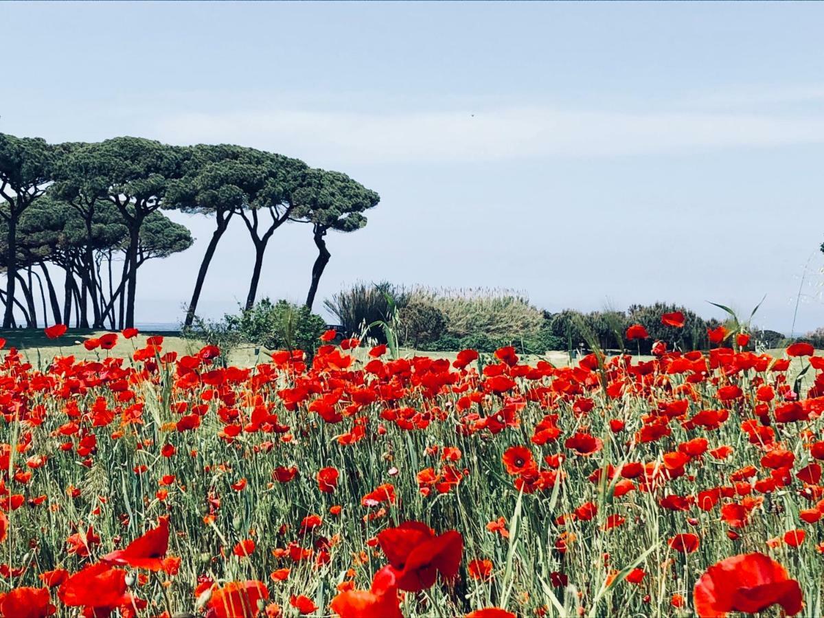 La Casa Nel Castello E Il Giardino Segreto Villa Suvereto Eksteriør billede